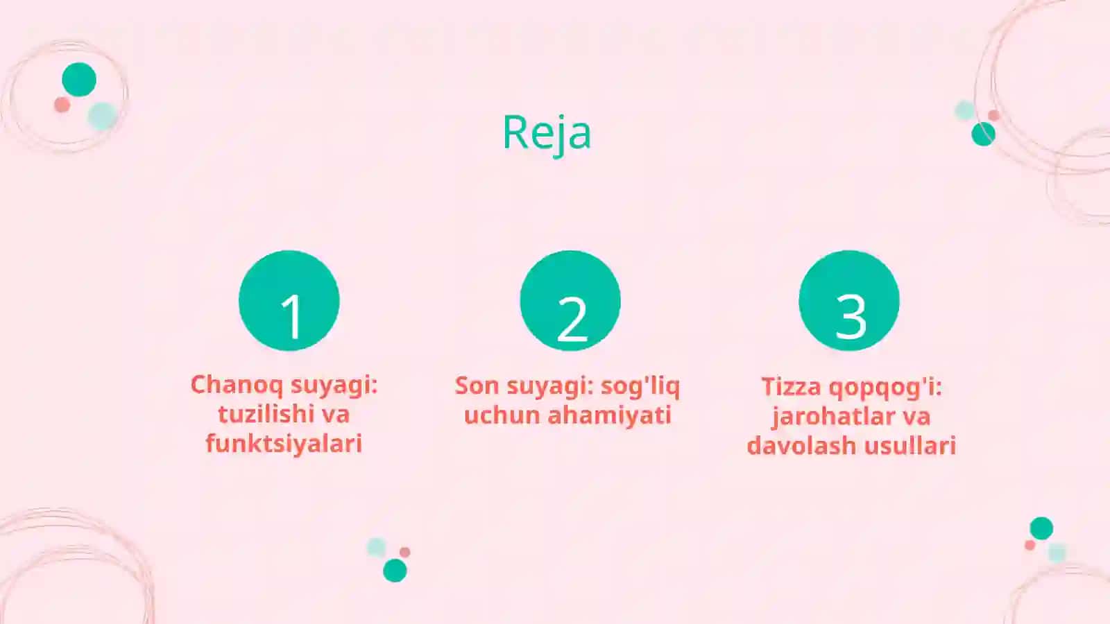 Chanoq suyagi, son suyagi, tizza qopqog'i 2