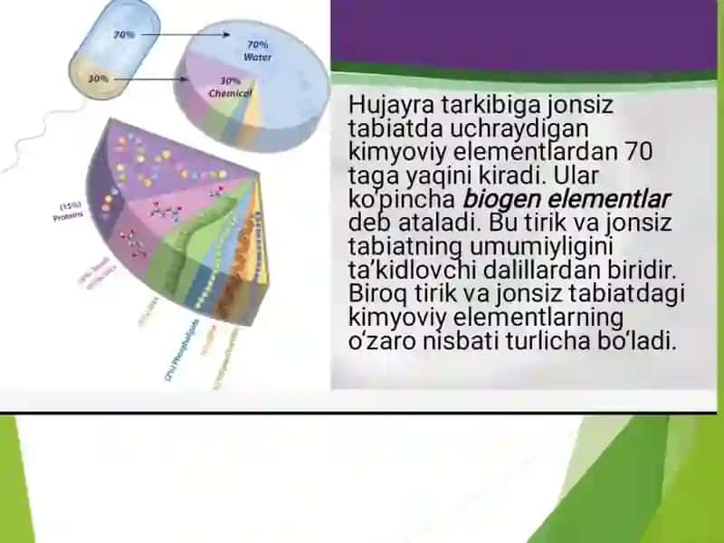 Hujayraning mitotik va hayotiy sikli 2