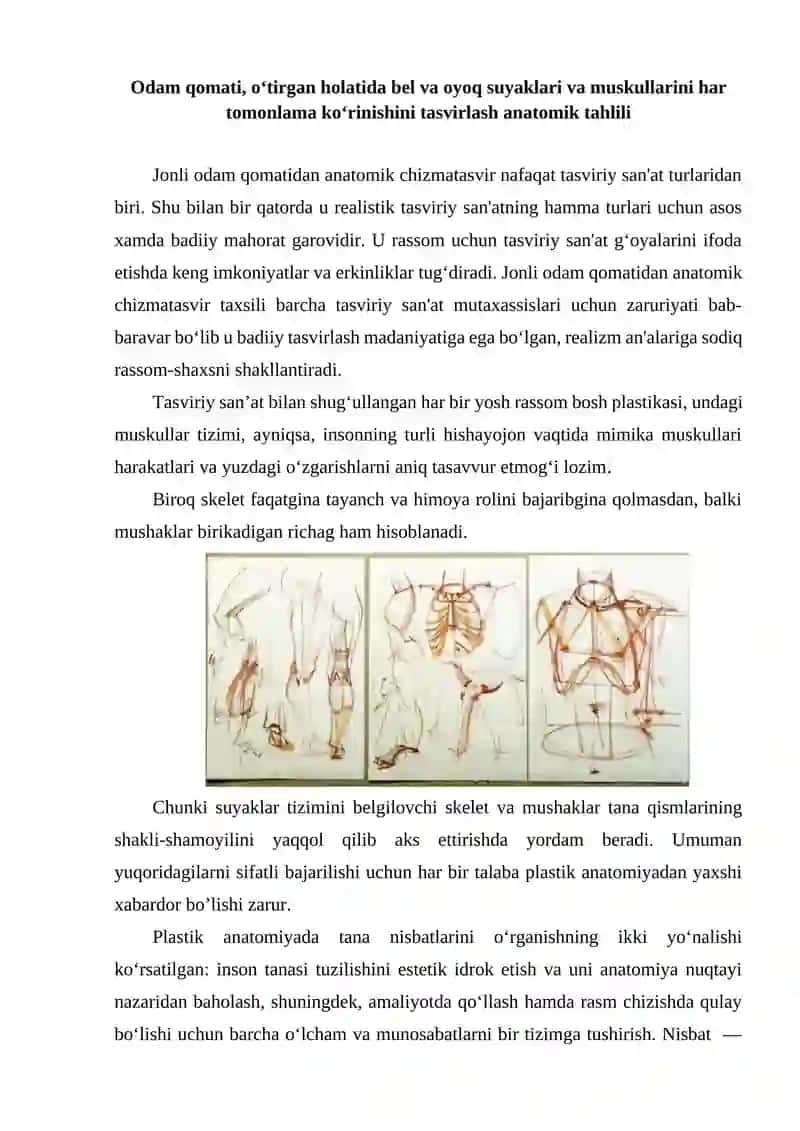 Odam qomati, tizza suyaklari anatomik tahlili 2