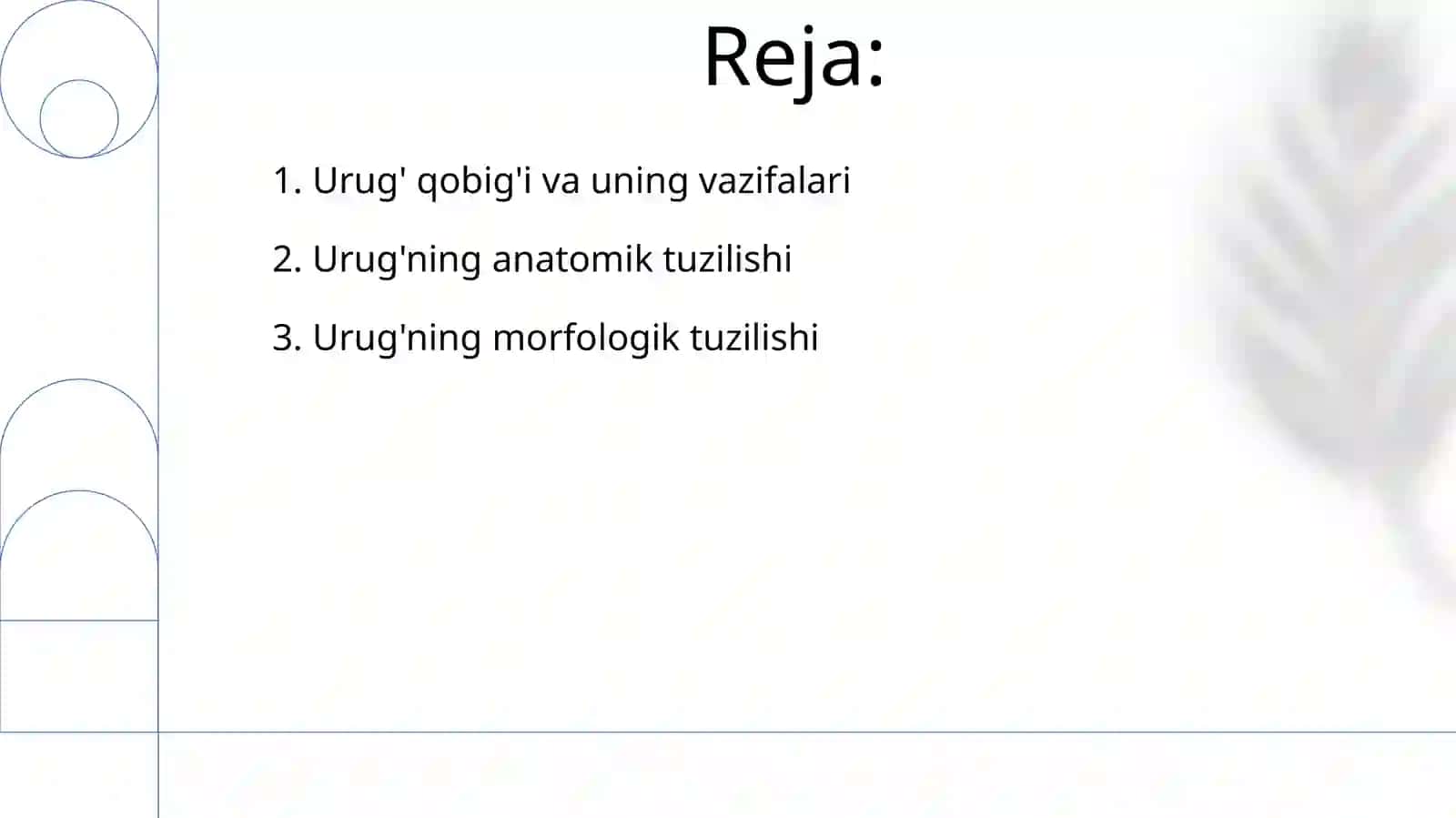 Donlarning anatomik va morfologik tuzilishi 2