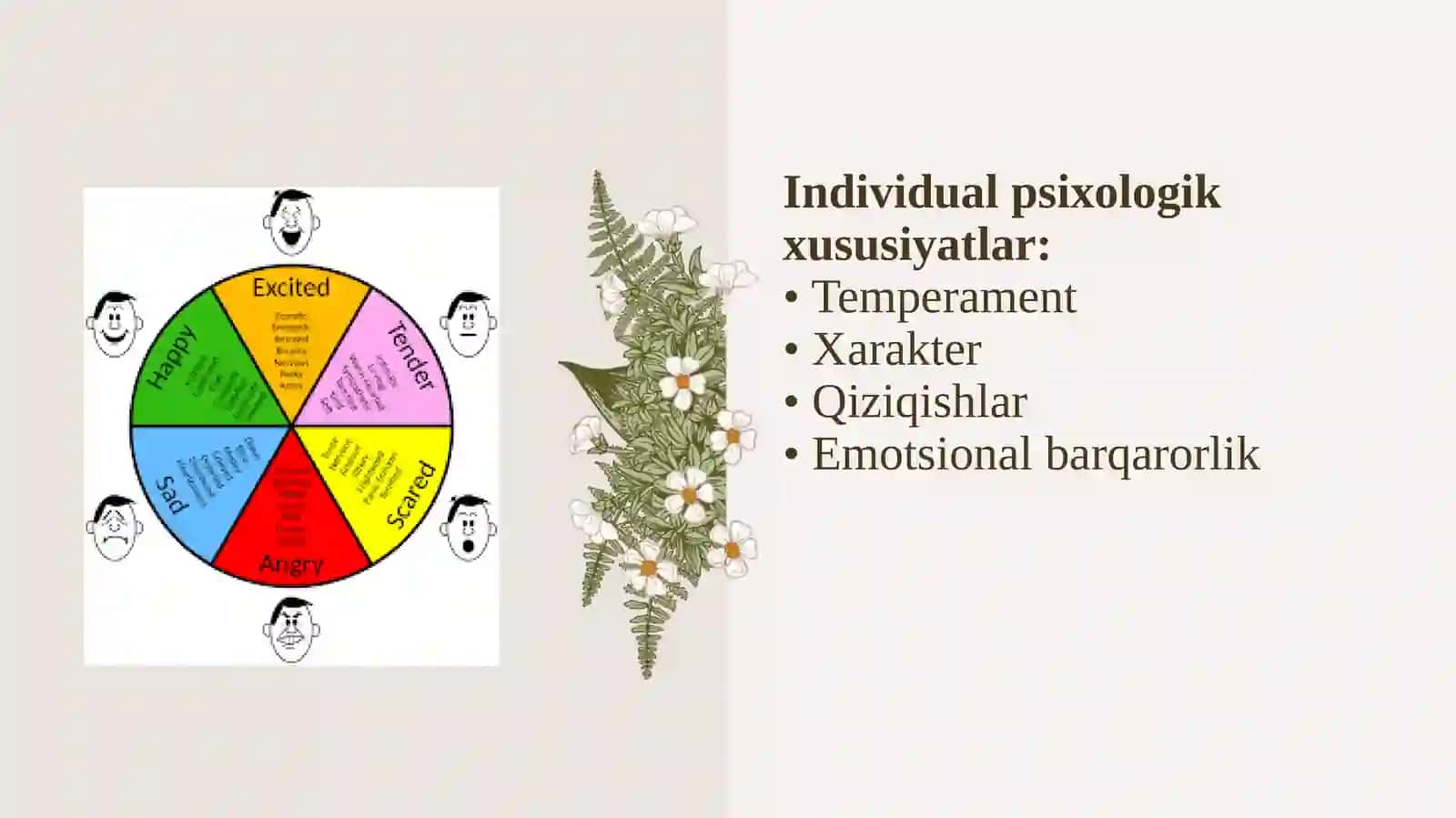 5-Mavzu Individual psixologik xususiyatlar 2