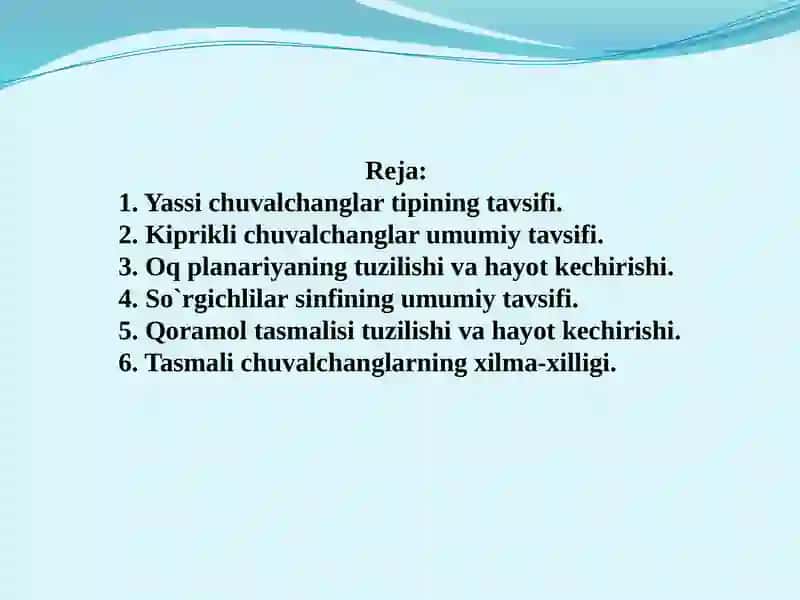 Yassi chuvalchanglar 2