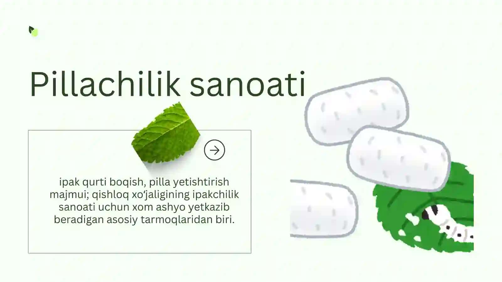 Pillachilik 2