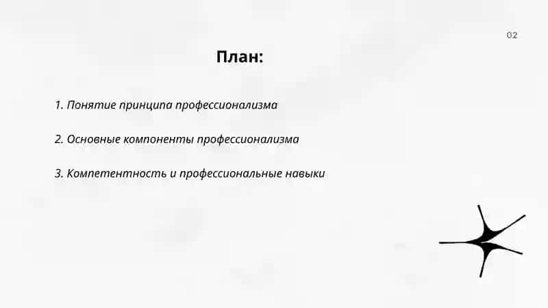 Принцип профессионализма 2
