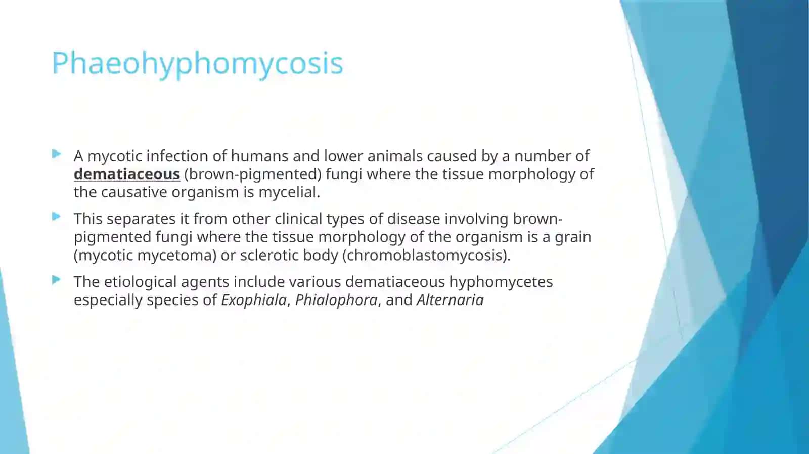 Medical Mycology Lecture (6) 2