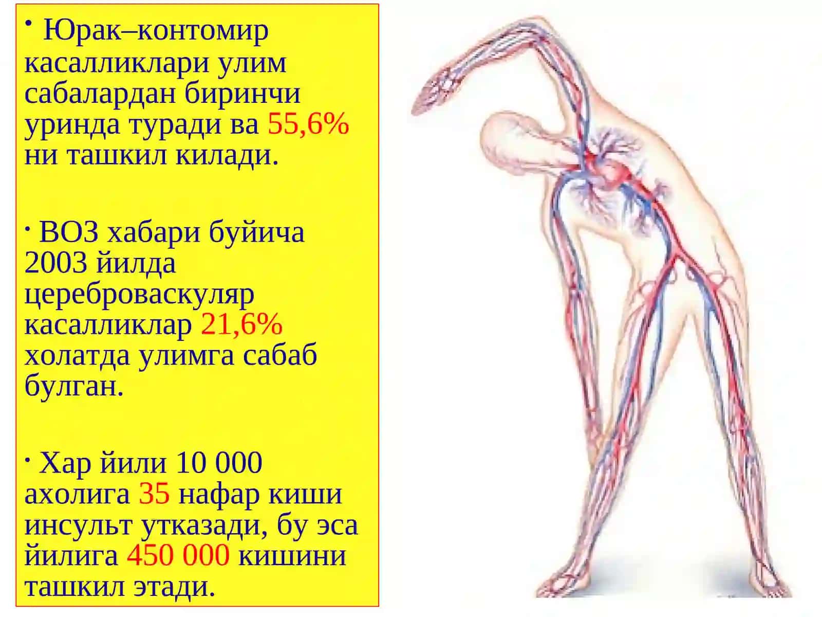 АОРТА РАВОҒИ ОККЛЮЗИОН КАСАЛЛИКЛАРИ 2