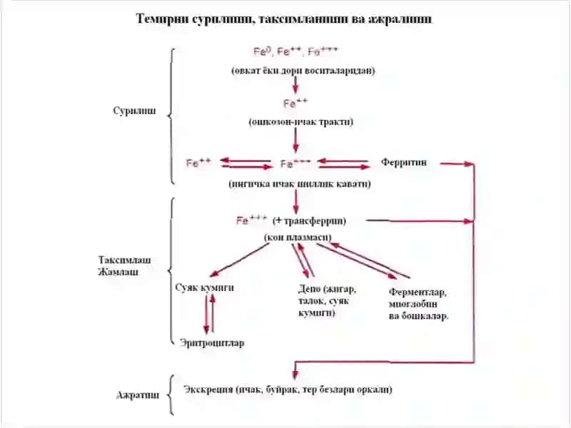 Эпомакс 2