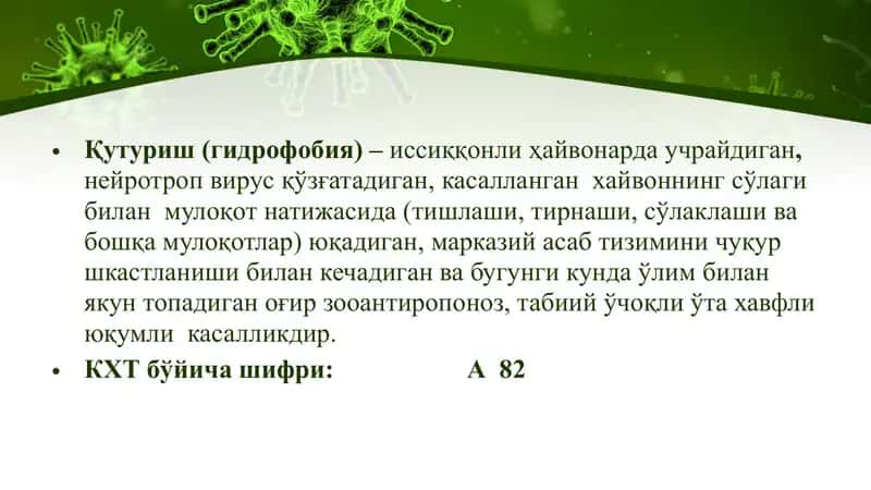 Қутуриш 2