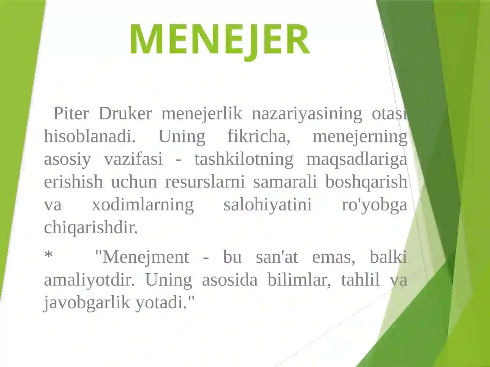 Menejer 2