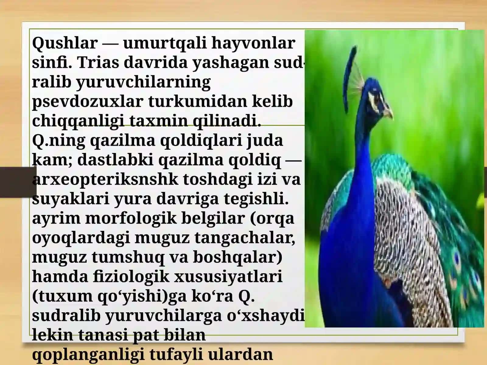 Qushlar migratsiyasi 2