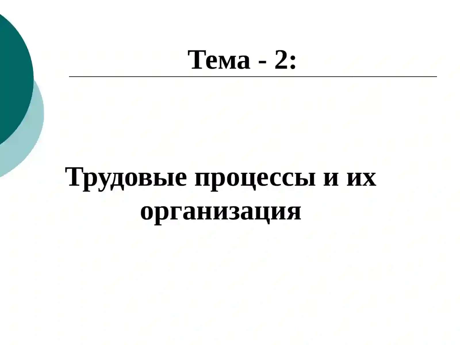 Экономика труда и человеческое развитие 2