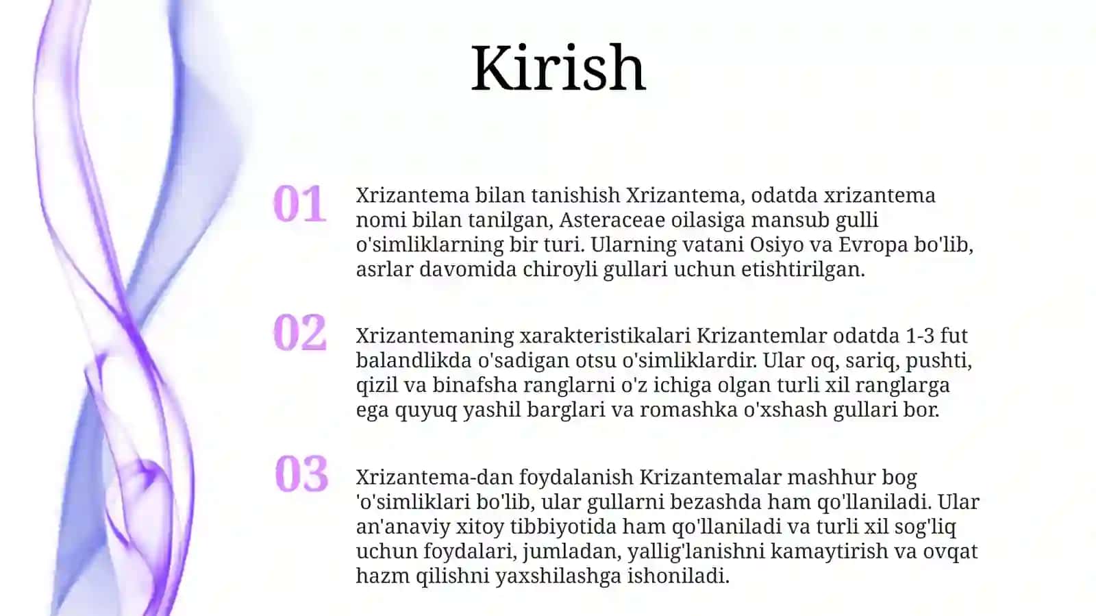 Xrizantema 2