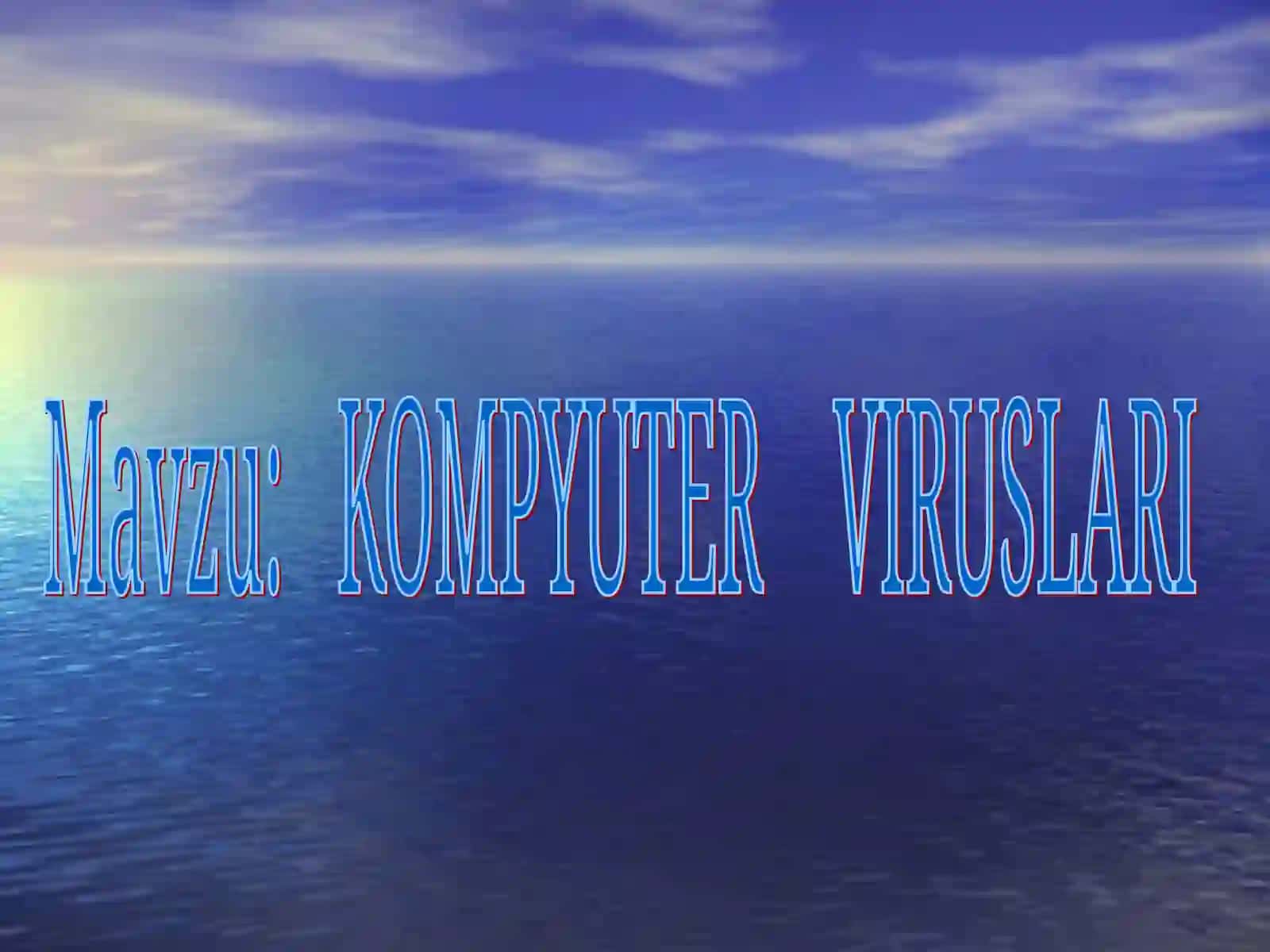 KOMPYUTER VIRUSLARI 2
