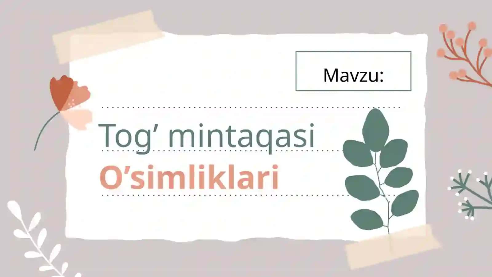 Tog’mintaqasi O’simliklari 2