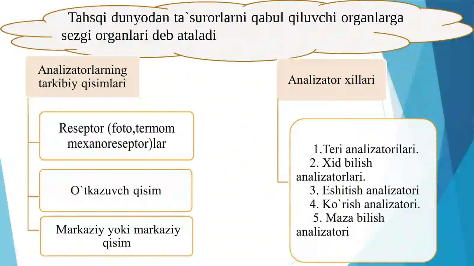 Ko‘rish analizatori 2