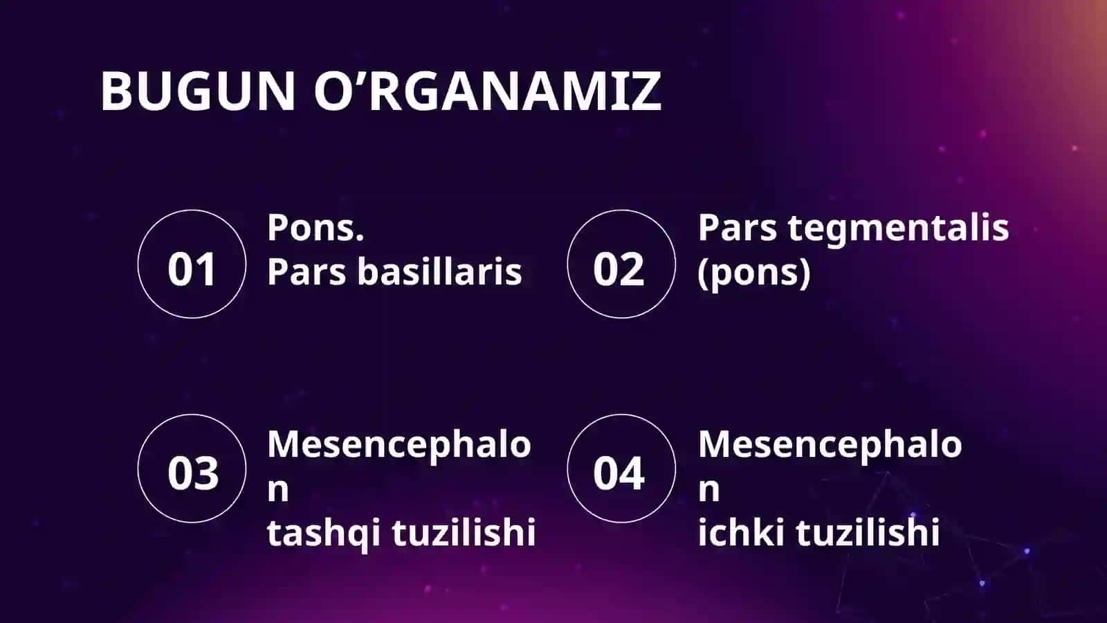 PONS ET MESENCEPHALON 2