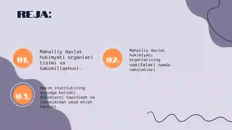 Mahalliy davlat hokimiyati organlari. 2