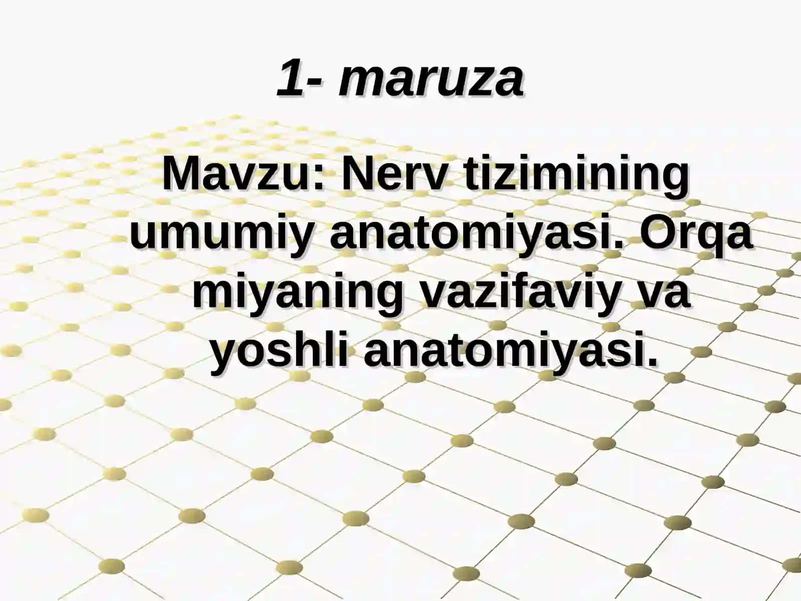 Nerv tizimining umumiy anatomiyasi 2