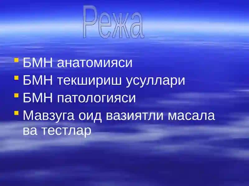 Бош мия нервлари 2