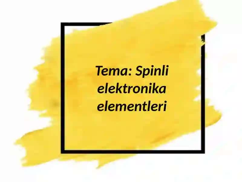 Spinli elektronika elementleri 2
