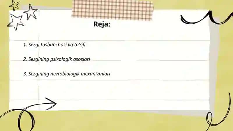 Sezgi 2