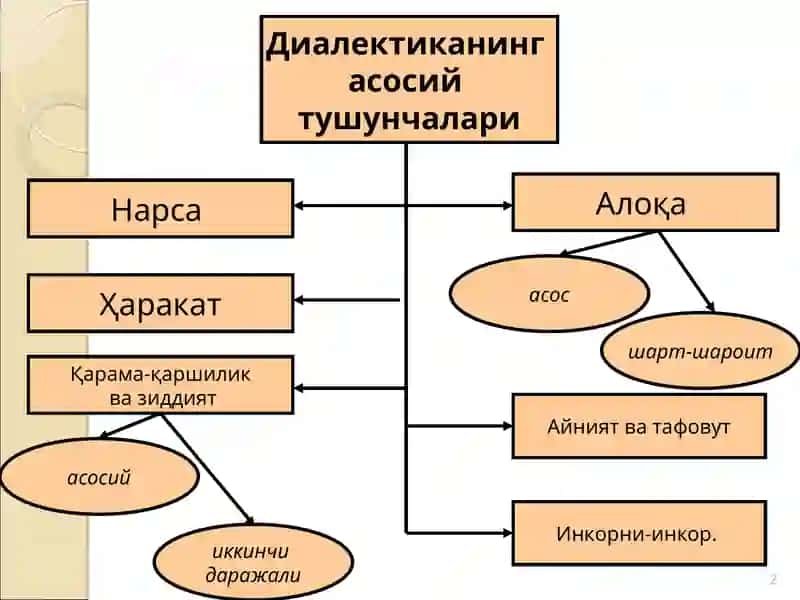 РИВОЖЛАНИШ ҚОНУНЛАРИ 2