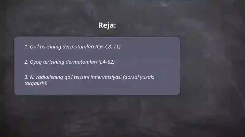 Qo‘l va oyoq terisini innervatsiyasi 2