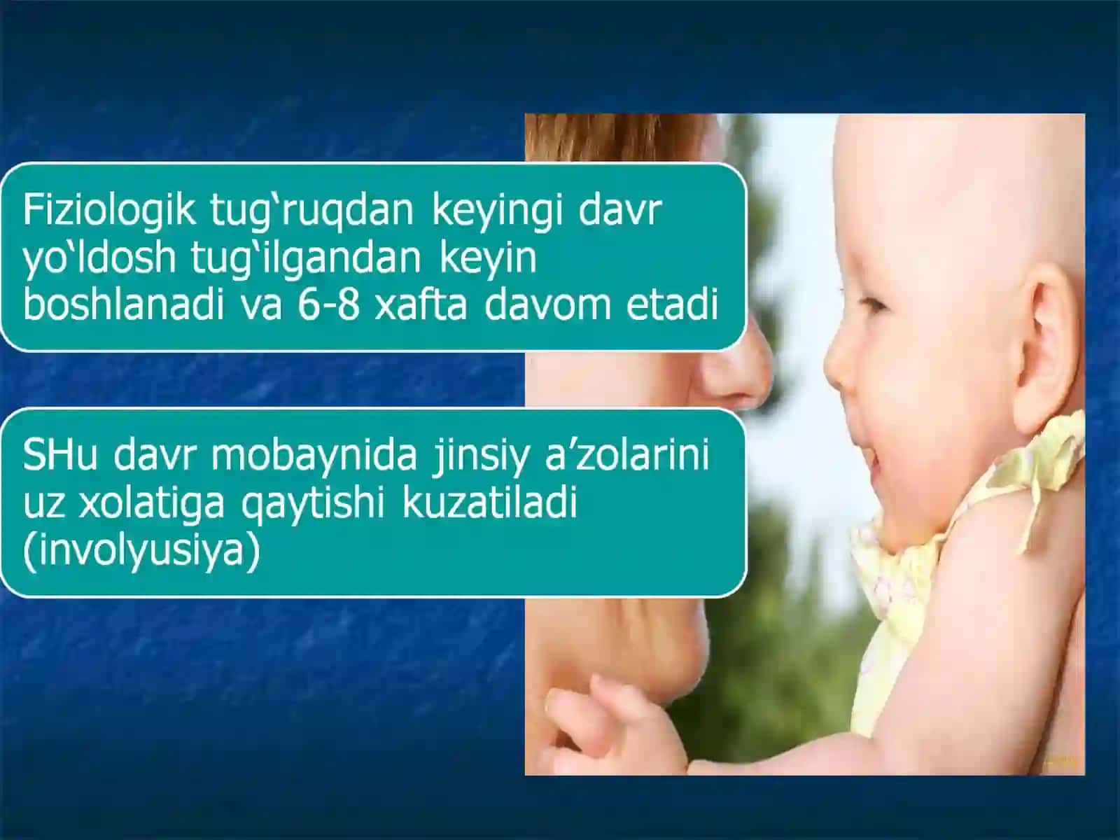 Bachadon involyusiyasi 2