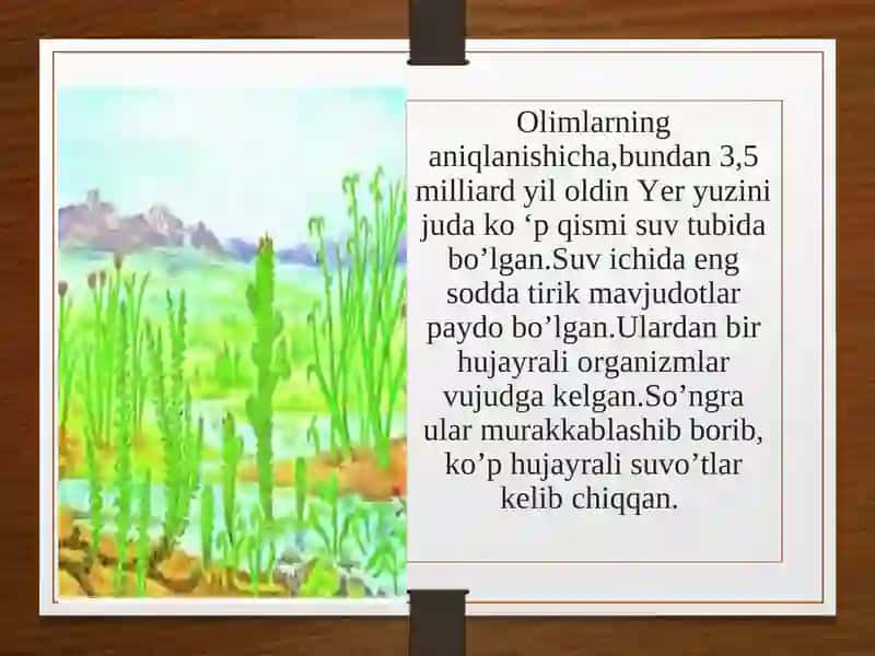 Yerda o’simliklar dunyosining rivojlanishi 2