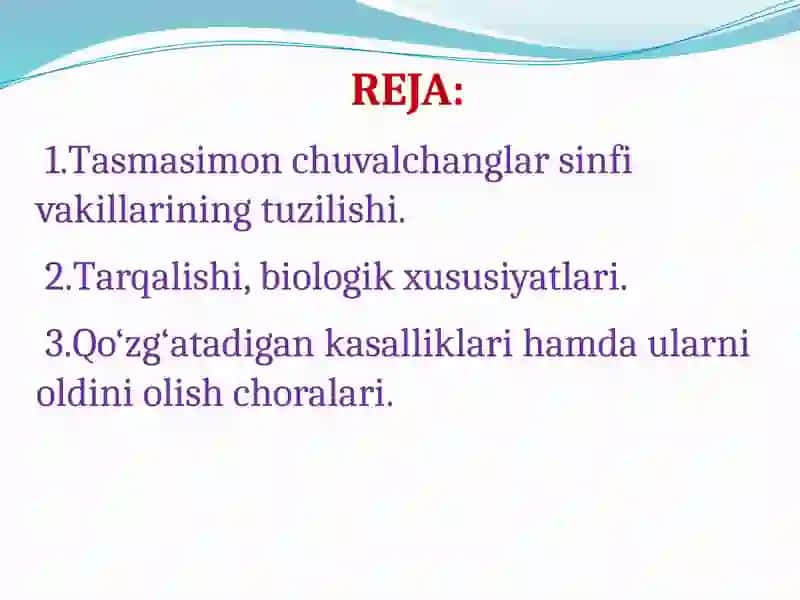 Tasmasimonchuvalchanglar 2