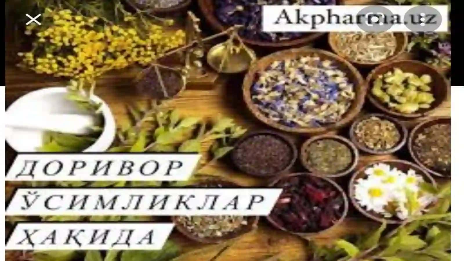 Botanika fanidan taqdimot 2