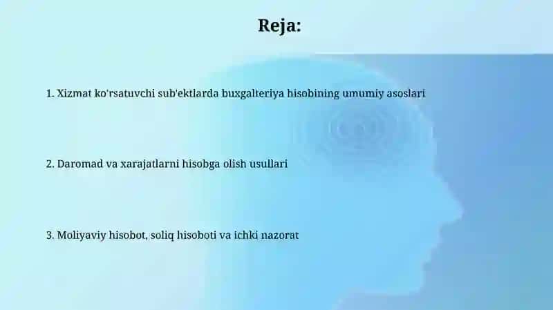 Buxgalteria Hisobi va Audit 2
