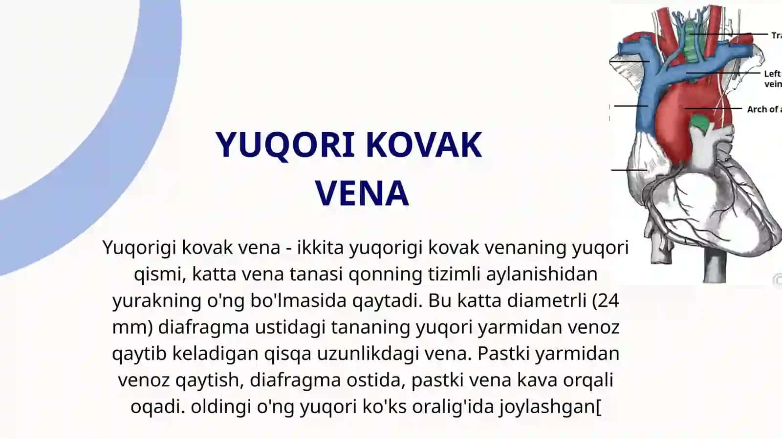 YUQORI KOVAK VENA TIZIMI 2