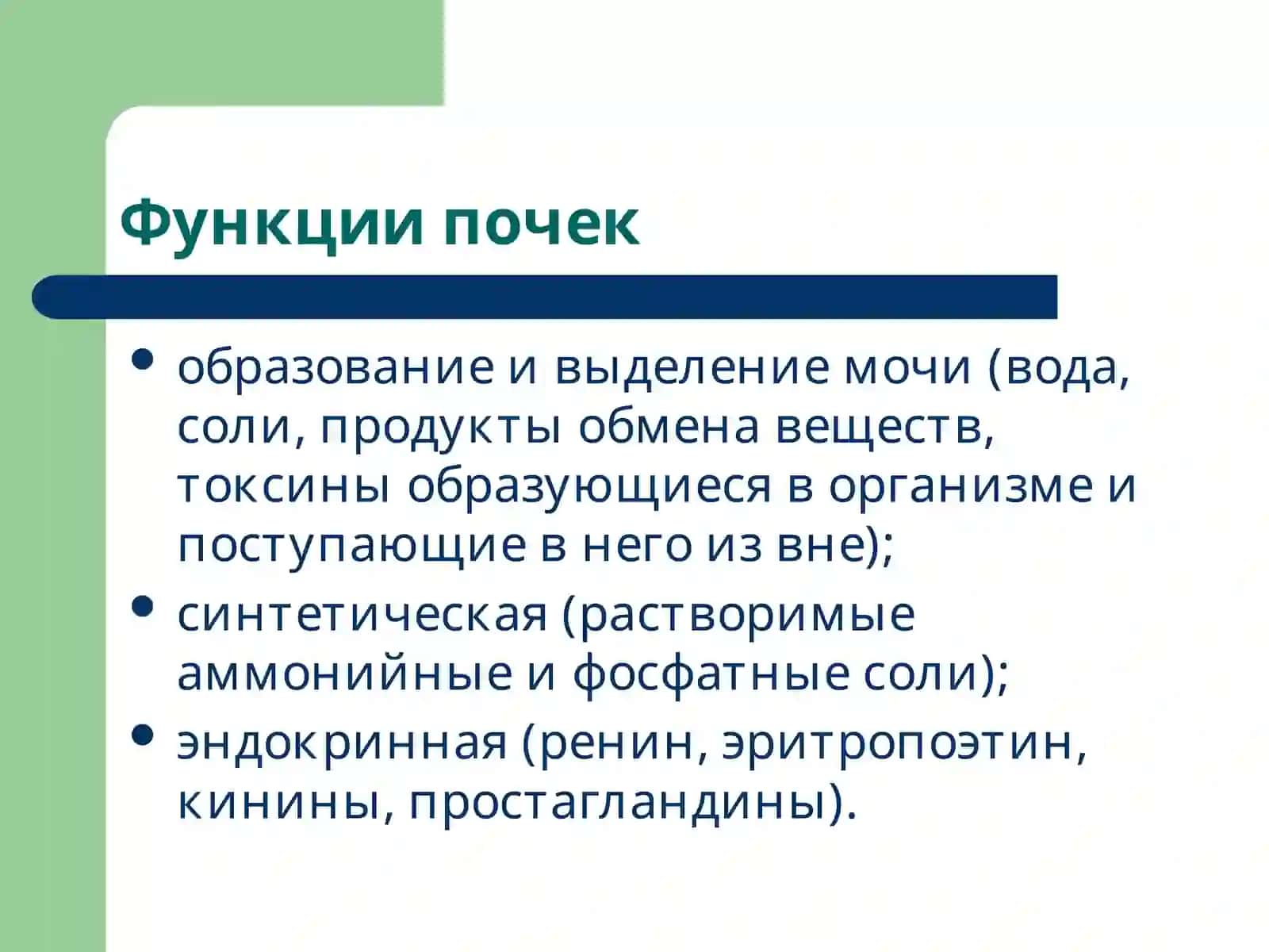 Патофизиология почек 2