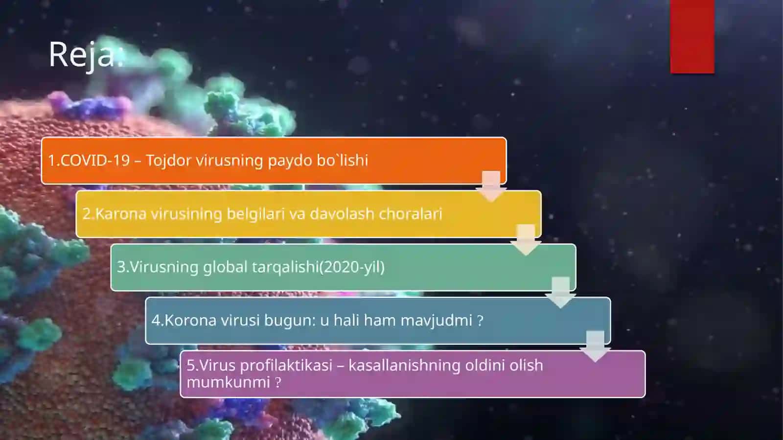 Koronavirushaqidama`lumot 2