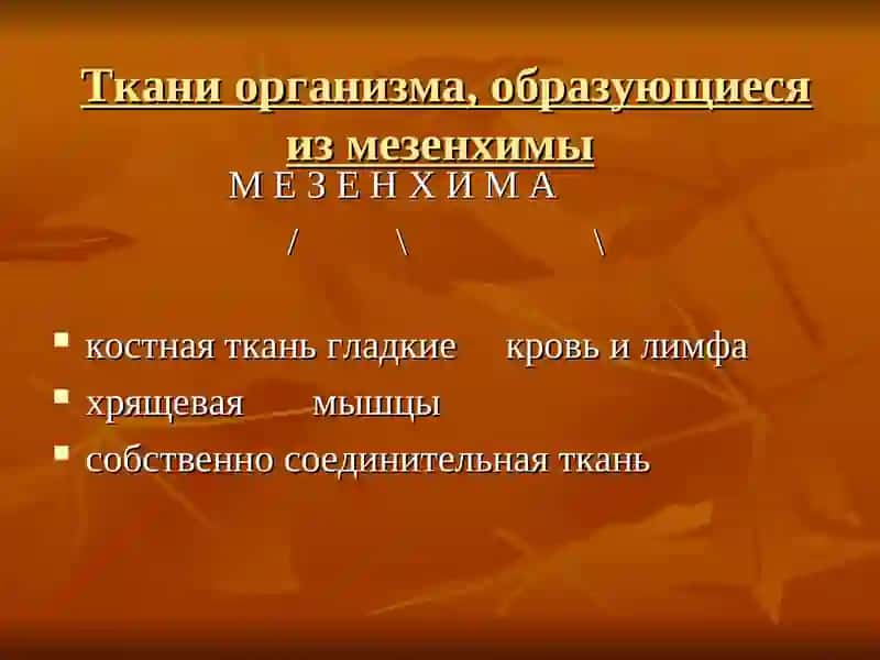 Дисплазия соединительной ткани у детей 2