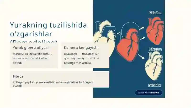 Yurakyetishmovchiligida kompensatsiya 2