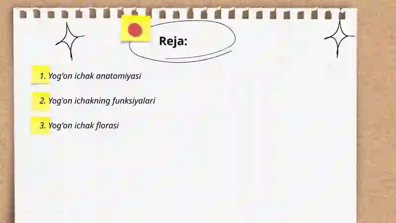 Yogʻon ichak 2