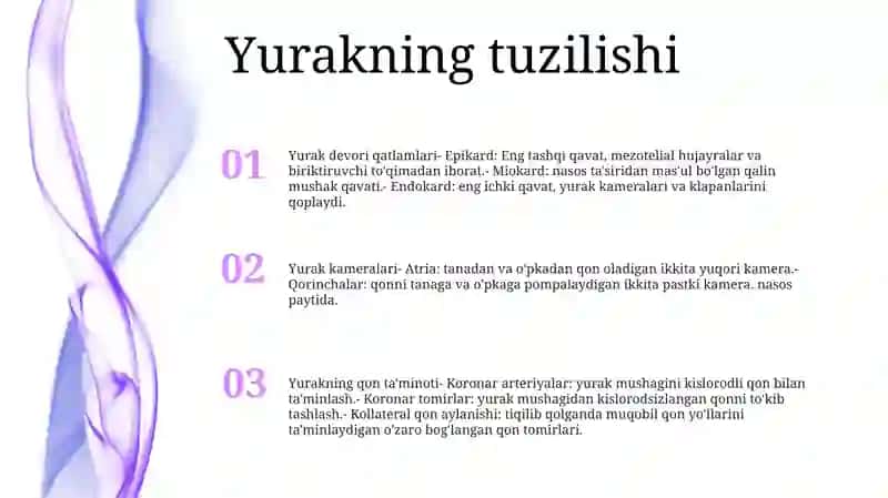 Yurak Anatomiyasi 2