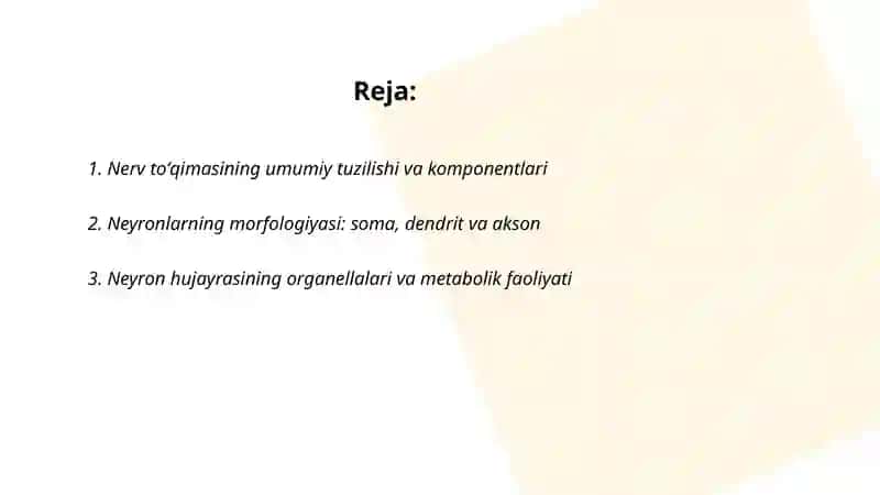 Nerv toʻqimasining tarkibi va hujayralari 2