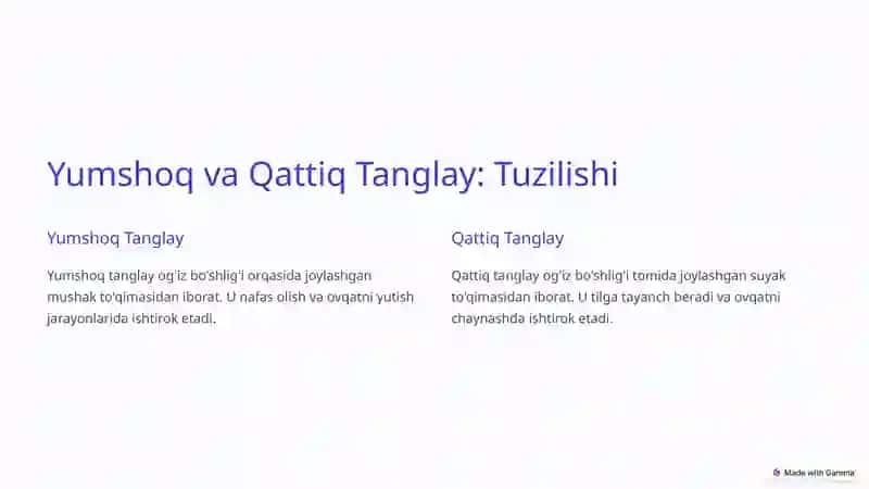 Tambilishaʼzosining morfo-funksionaltavsifi 2