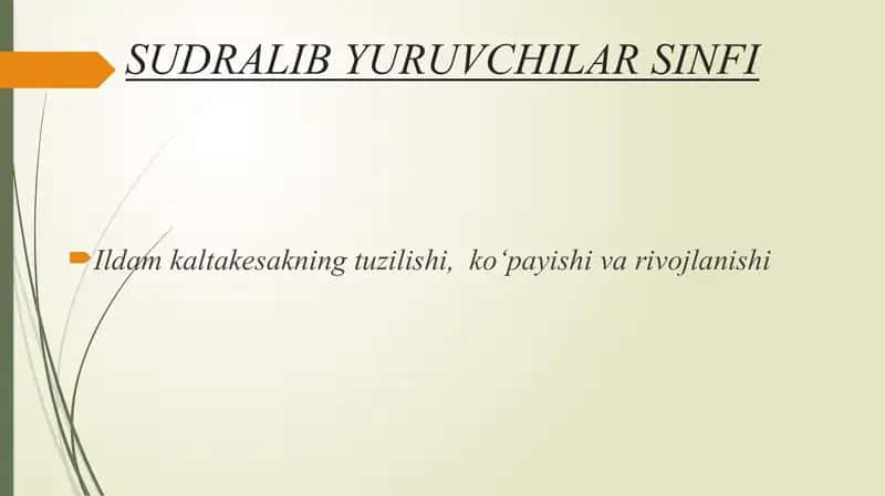 Sudralib yuruvchilar sinfi mavzusida taqdimoti 2