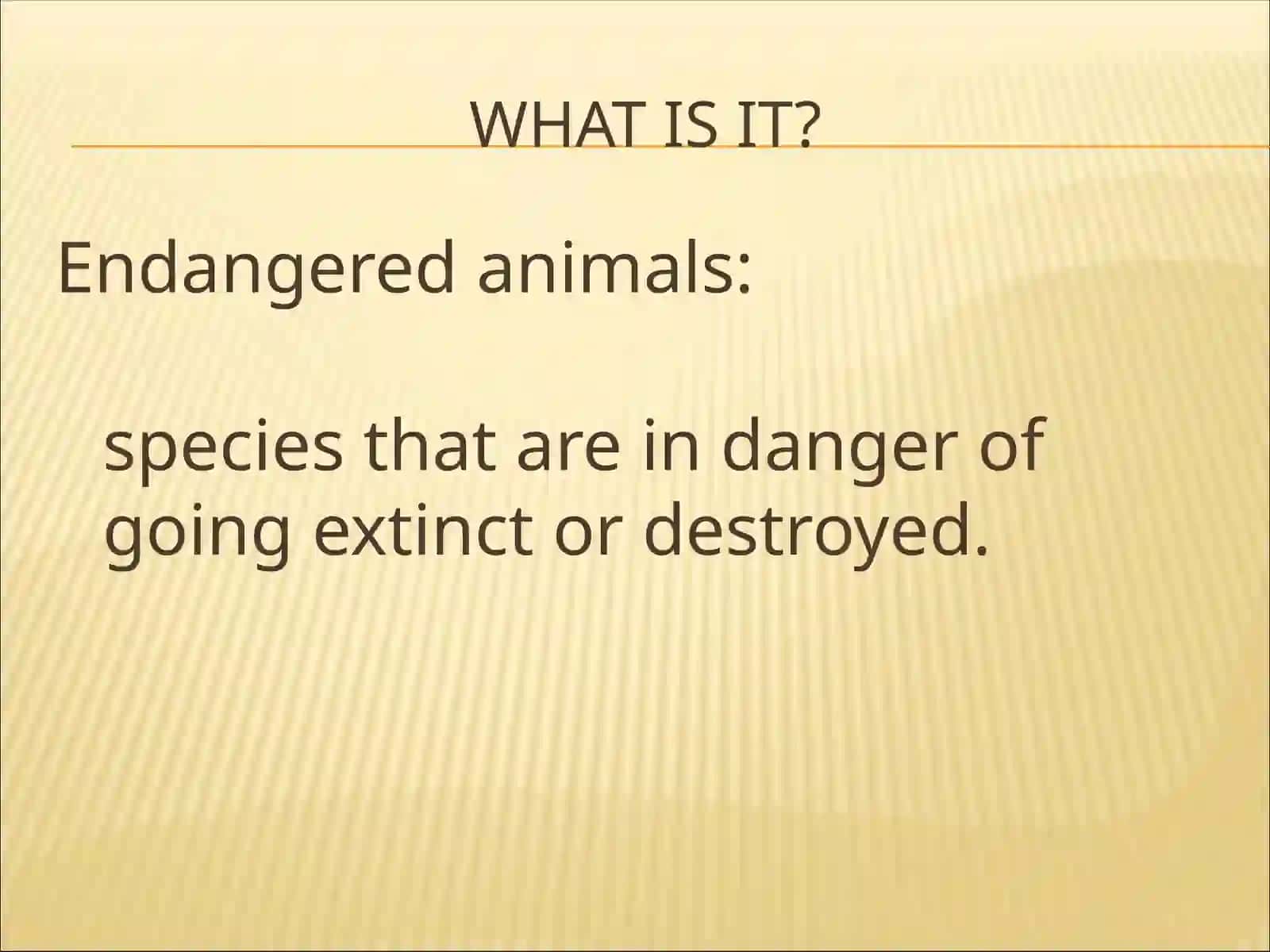 Endangered Animals 2