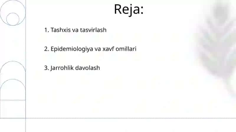 Qorin churralari bo'shlig'i ichki 2