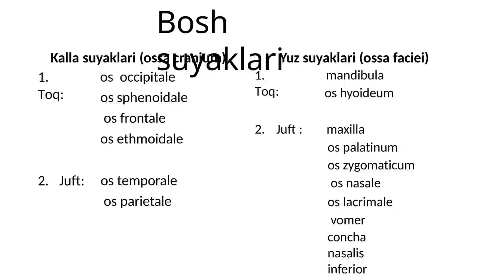 Ensa peshona va tepa suyaklari anatomiyasi 2