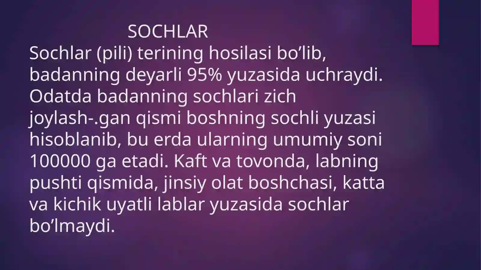 Sochlar 2
