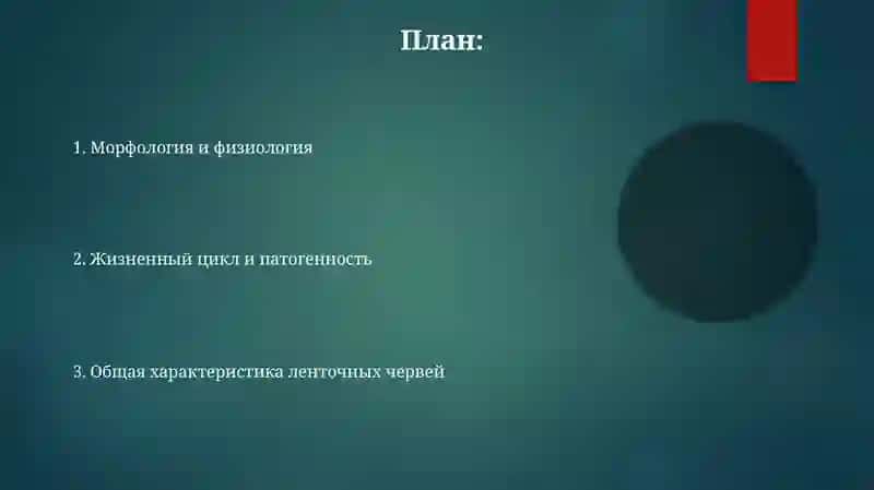 Ленточные черви 2