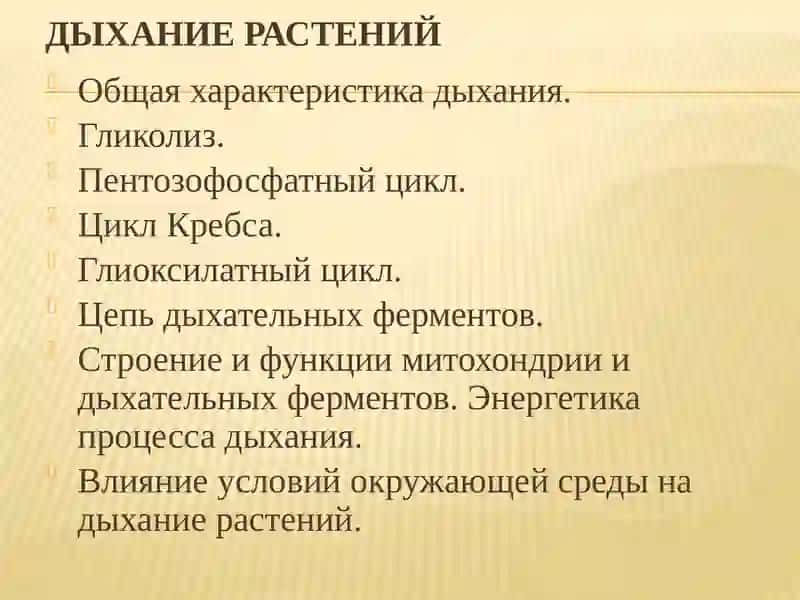 Физиология растений 2