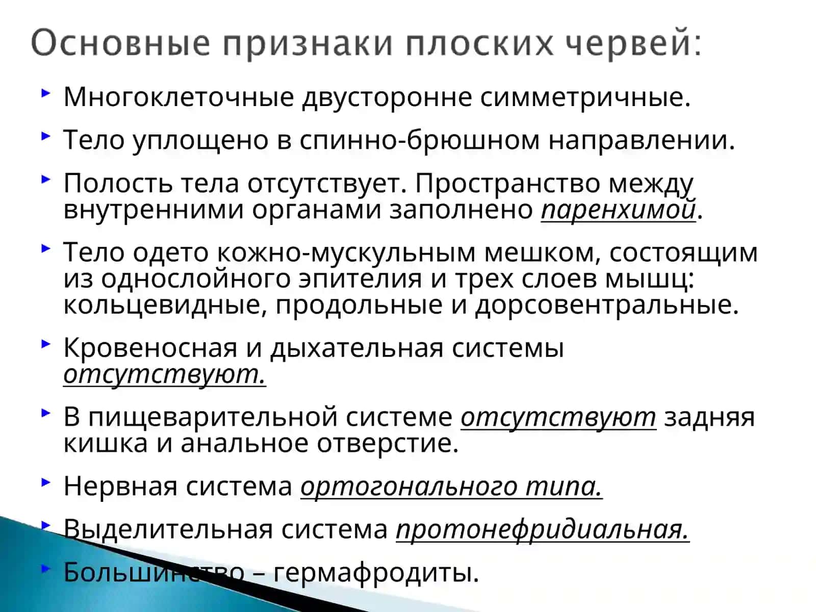 Тип Плоские черви-Plathelminthes 2