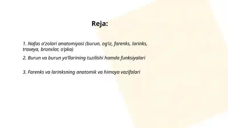 Nafas a'zosi tizimi 2